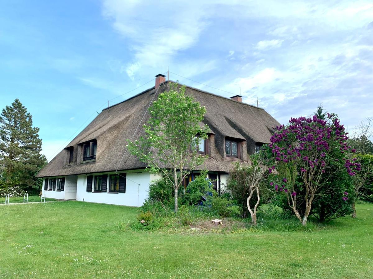 Ferienwohnung "Strandschnecke" Im Haus Hallig Oland ザンクト・ペーター・オルディング エクステリア 写真